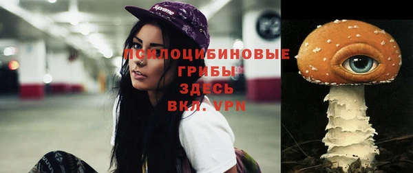 MESCALINE Карпинск