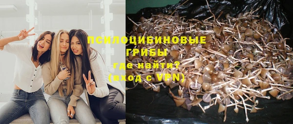 гидропоника Карталы