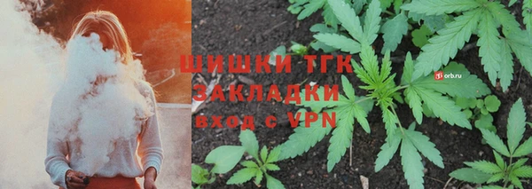 гидропоника Карталы